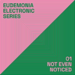 eudemonia podcast // electronic series 001 - not even noticed