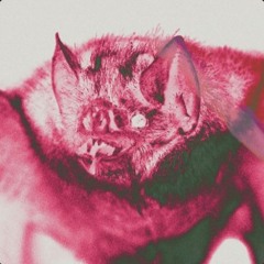 005 Obscuridad - MATRIX