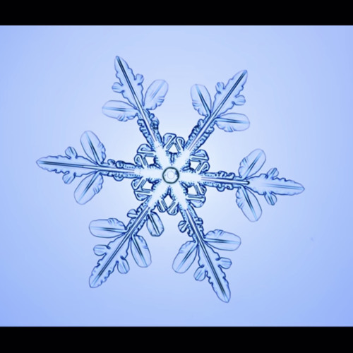 Winter Chill (Live Looping Journey) Video on Youtube @  https://youtu.be/EtjxcfMWDdc