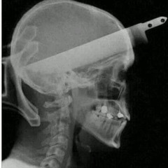 First Day Out @CYBERI