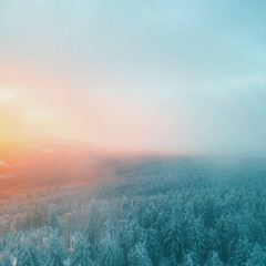 Before the Dawn