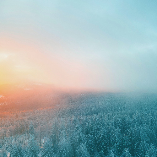 Before the Dawn