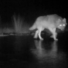 DIRTY : ELEVATION III closing set | Tut.