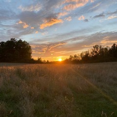 summertime ft. emotionals (artemys)