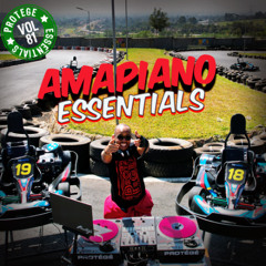Amapiano Party Vibes | Dj Protege Groove Mix | Vol 81