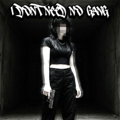 I DON'T NEED NO GANG