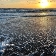 Let You Go
