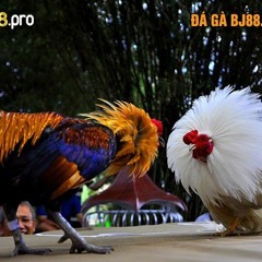 (Bj88 pro) Ai Thật Lòng Thương Remmix