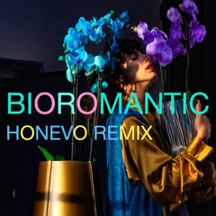 BIOROMANTIC MEMORY INTERLINK