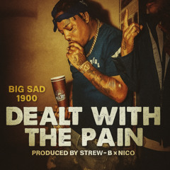 Big Sad 1900 - Delt With The Pain (prod. Strew-B x nico)