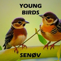 SENØV - Young Birds (Uptempo Remix)