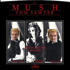 Tom Sawyer - Rush - Moving Pictures (1981) / Cover by Matthew Walker