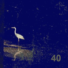 Forty (album preview)