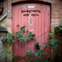Slavestudios - Acid Delta