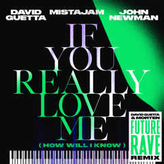 If You Really Love Me (How Will I Know) [David Guetta & MORTEN Future Rave Remix]
