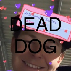 DEAD DOG