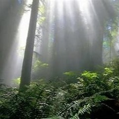 "Free".  (Vocal; Mike Olton)