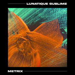 Lunatique Sublime - Metrix (Extended Mix)
