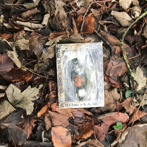 Chapter 24 by Syd Barrett - Uhoni
