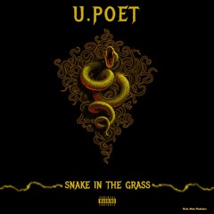 Snake In The Grass {Prod By Danke Noetic}