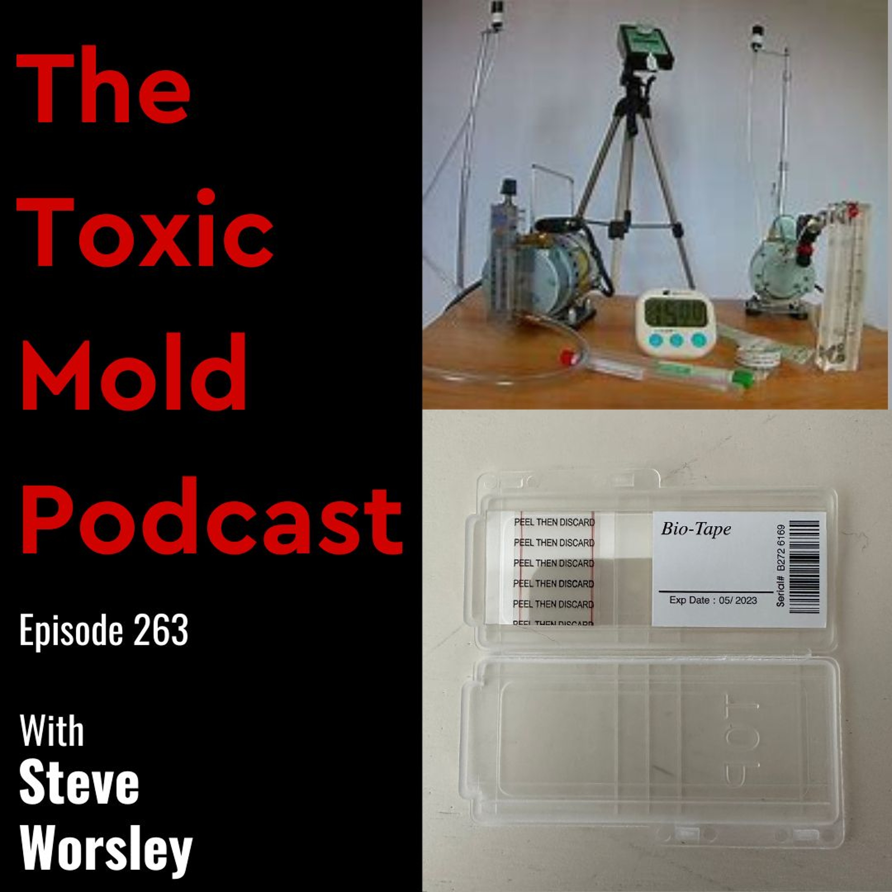 The Toxic Mold Podcast