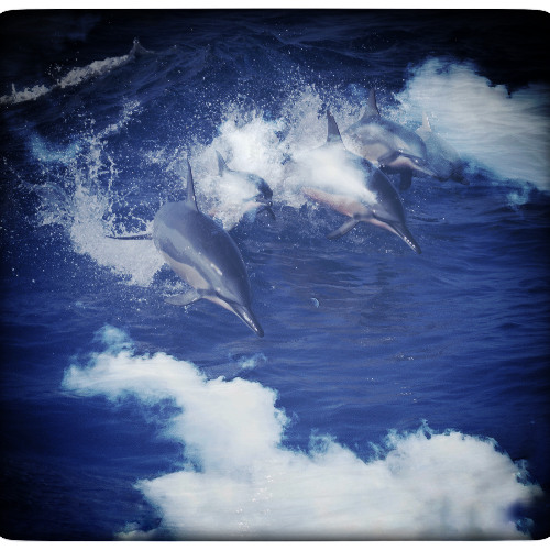 Deep blue 12 November 2025