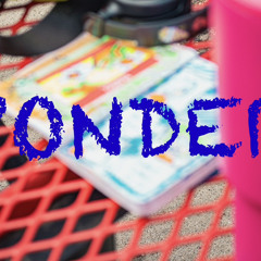 Ponder