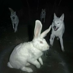 jänislaulu (prod. runitupterry)