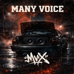 Many Voice