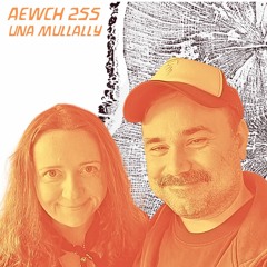 AEWCH 255: UNA MULLALLY on WHAT COMES AFTER COLLAPSE?