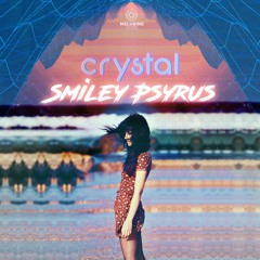 Smiley Psyrus & Sagittarius Zen & Reasonandu - Spirit Of The Ice Cave