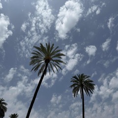 Can't Help Falling in Love ft. Maggie Miller