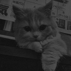 Собеседник