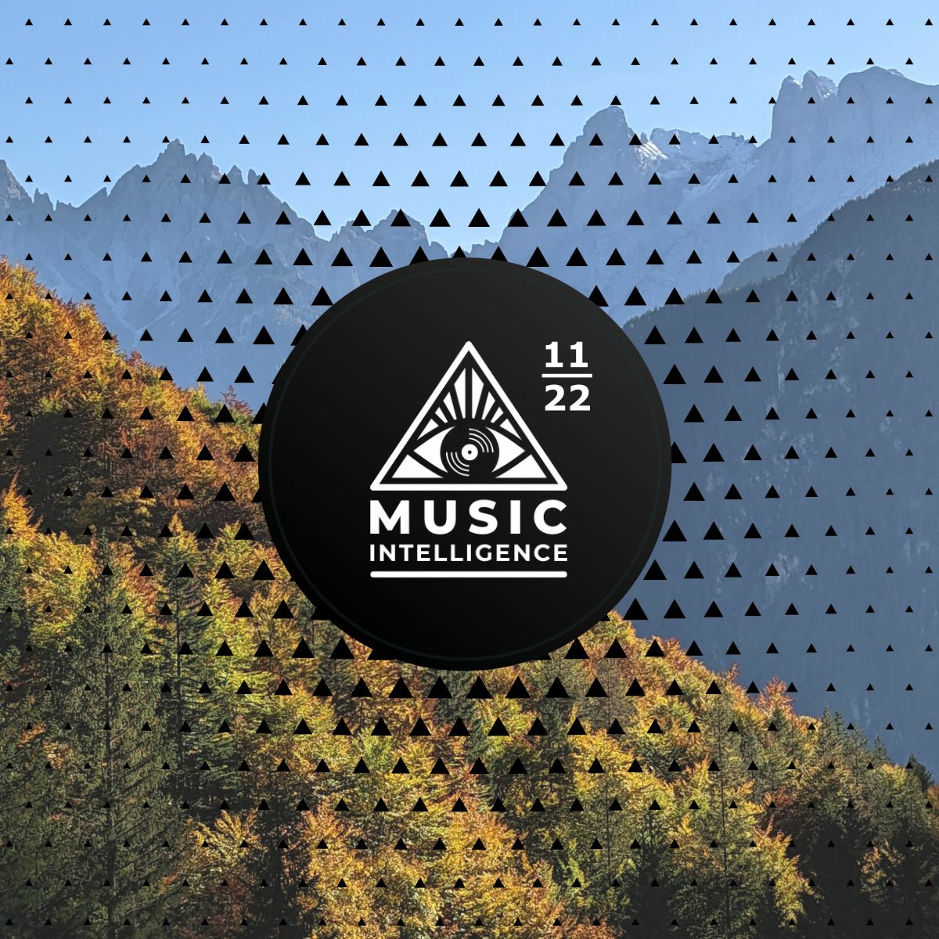 Music Intelligence Podcast