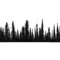 No problems ft fedarro