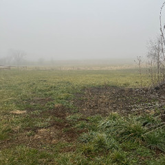 pack a day (doan cover)