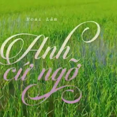 Anh cứ ngỡ - Hoài Lâm