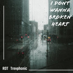 dont wanna broken heart (RDT Trephonic)