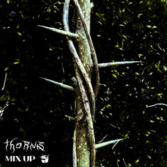 Moss - THORNS Mix // triple j Mix Up