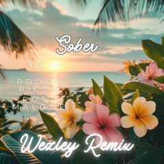 Sober (Remix)