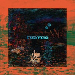 Il sole piange (feat. Iggie Wilde & Drast)