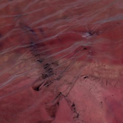 vitello tonnato – for bor