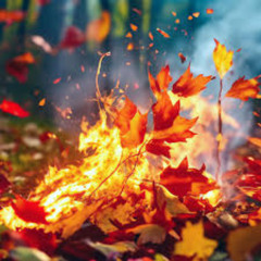 Autumn spark dance set - Nov. 25