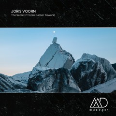 FREE DOWNLOAD: Joris Voorn - The Secret (Tristan Garner Rework)