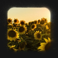 Die Happy (Sufjan Stevens Sample)