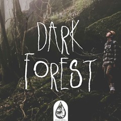 Ultimate Dark Forest 🦇 - A Spooky Indie/Folk/Alternative Playlist