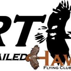 Red-tailed Hawks Inbound!
