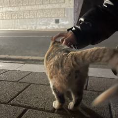 Dream (with. Gwandhi) (prod. Kyduh)