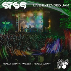 Really What? > Wilder > Really What? (Live Extended Jam)