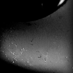 Noid - Factured Next.mp3